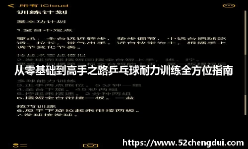 从零基础到高手之路乒乓球耐力训练全方位指南